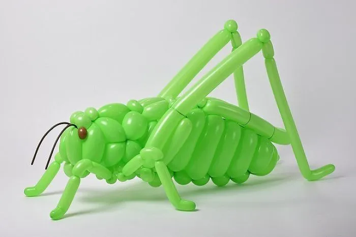 Bush Cricket