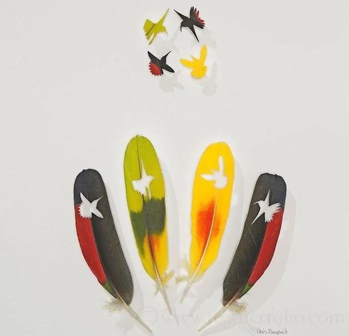 I Hand-Carve Feathers Into Intricate Designs Using Scalpels And Eye Surgery Scissors (30 New Pics)