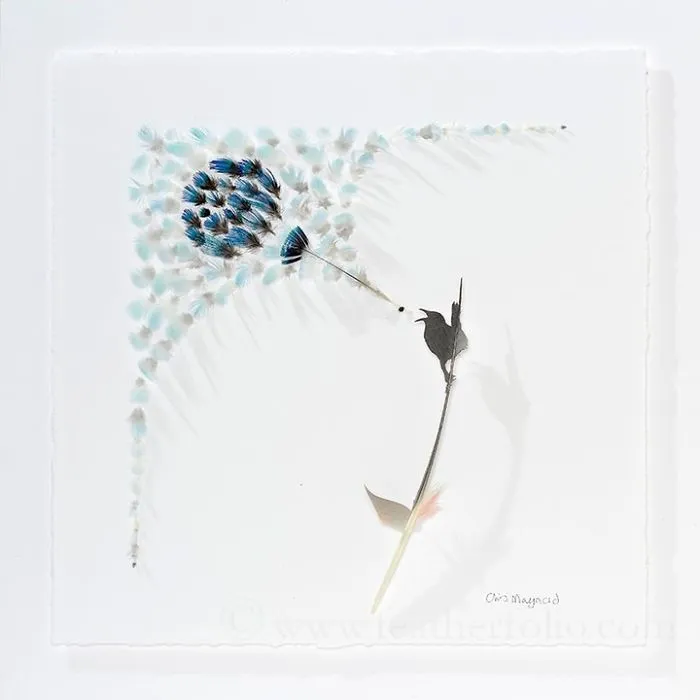 I Hand-Carve Feathers Into Intricate Designs Using Scalpels And Eye Surgery Scissors (30 New Pics)