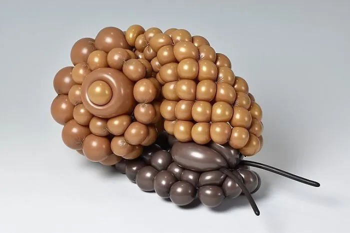 Pond Snail