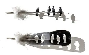 I Hand-Carve Feathers Into Intricate Designs Using Scalpels And Eye Surgery Scissors (30 New Pics)