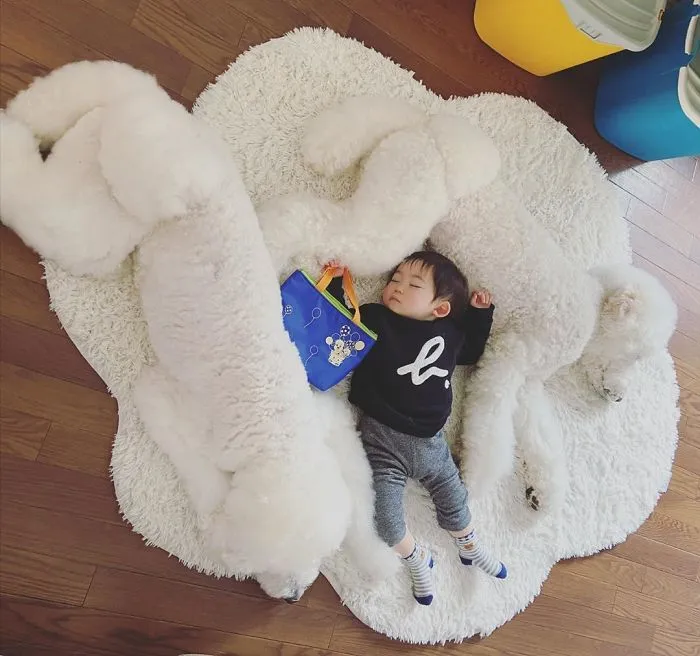 Family's 3 Poodles Have A Special Bond With Their Little Brother And Sister (30 Pics)