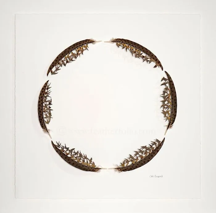 I Hand-Carve Feathers Into Intricate Designs Using Scalpels And Eye Surgery Scissors (30 New Pics)