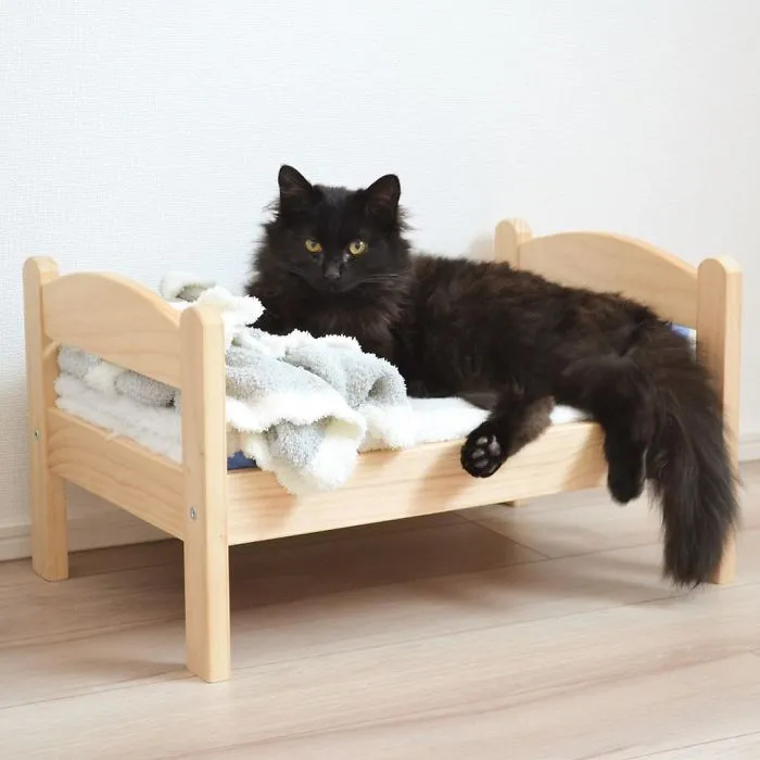 IKEA vende camitas de juguete para las muñecas, y la gente las compra para sus gatos (30 fotos)