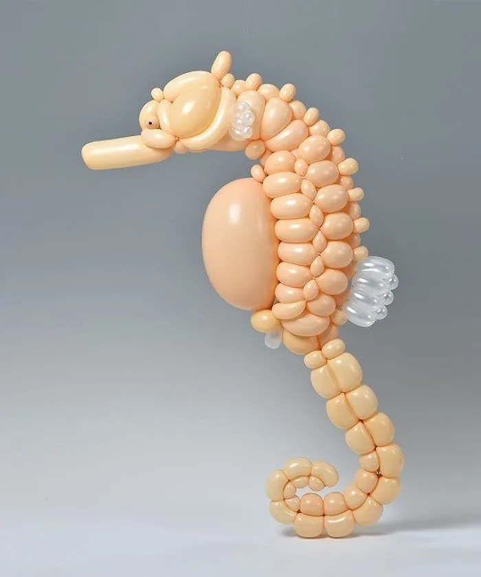 Seahorse
