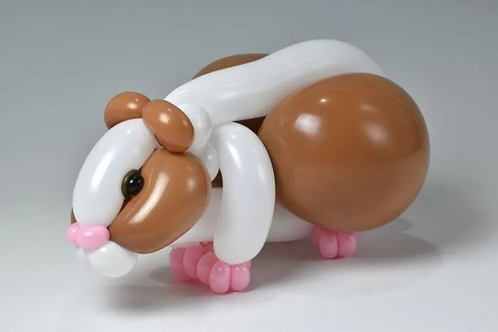 Guinea Pig