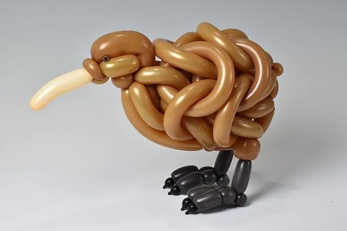 Kiwi