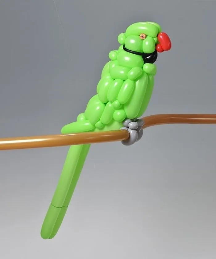 Rose-Ringed Parakeet