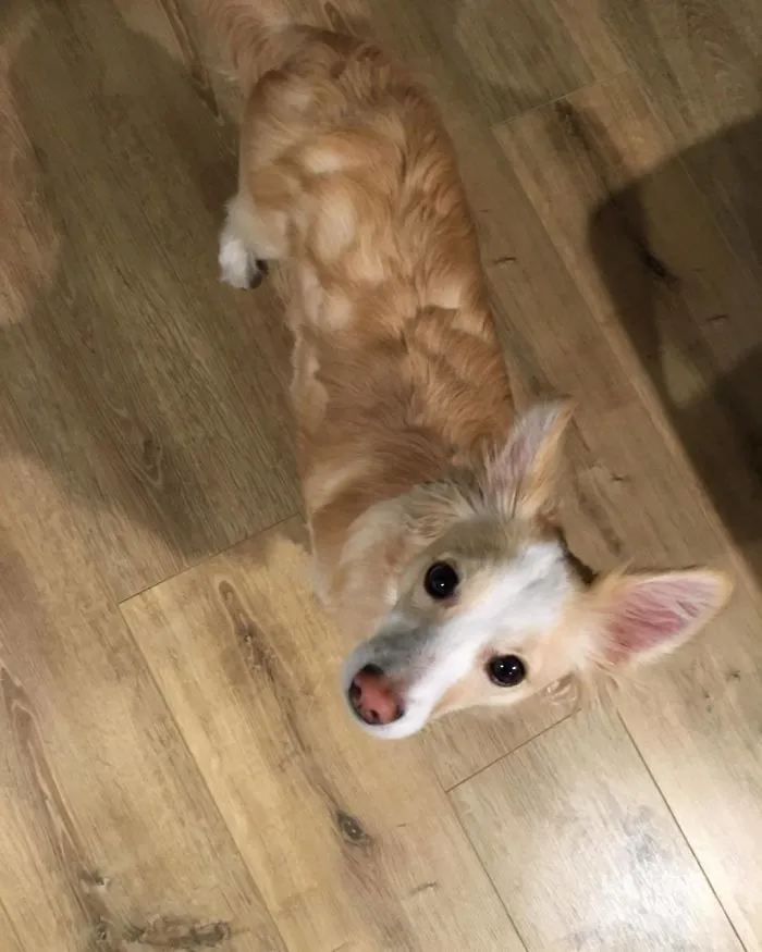 Bad Haircut Day