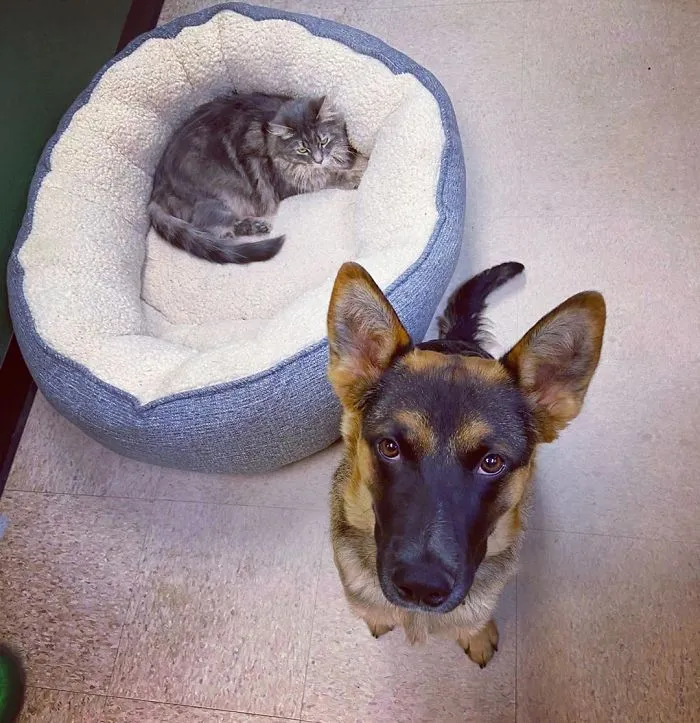La cara que se te queda