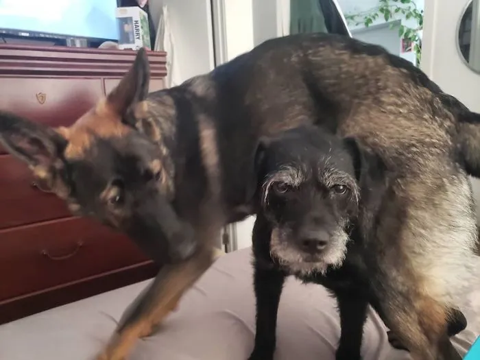 When You Just Woke Up And She Wants To Play