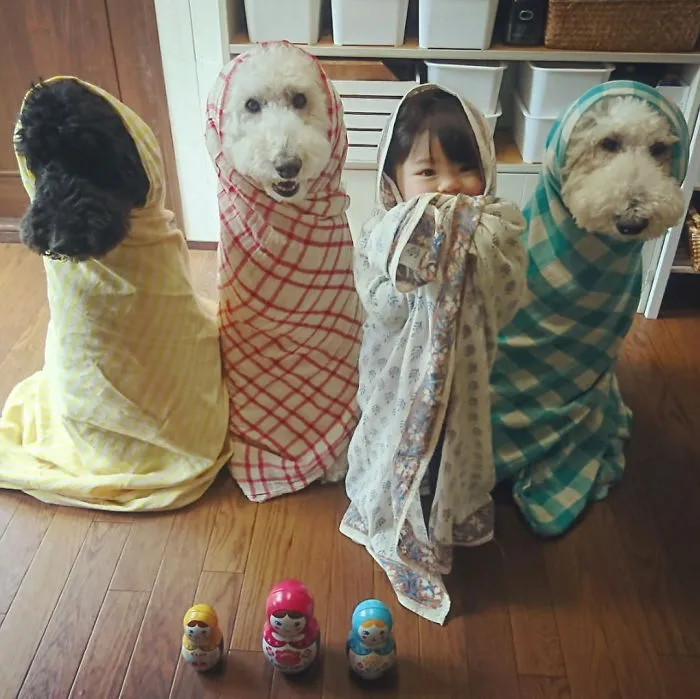 Family's 3 Poodles Have A Special Bond With Their Little Brother And Sister (30 Pics)
