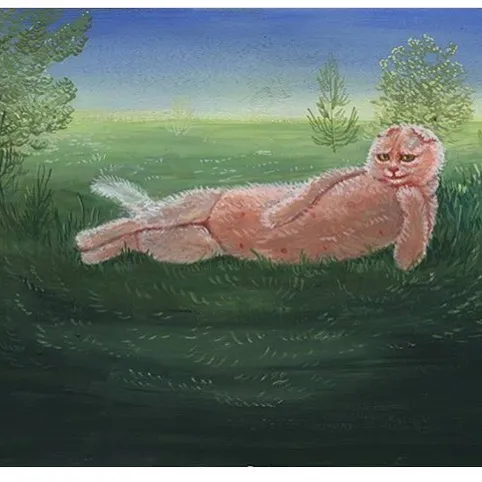 Fluffy Pink Cat