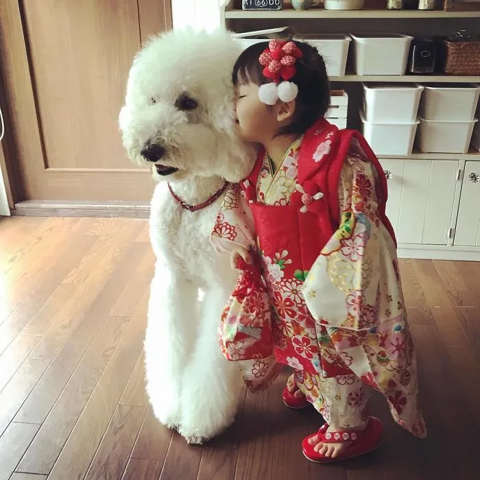 Family's 3 Poodles Have A Special Bond With Their Little Brother And Sister (30 Pics)