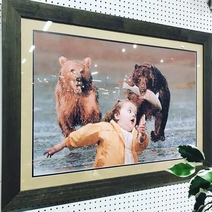 Bear Chase