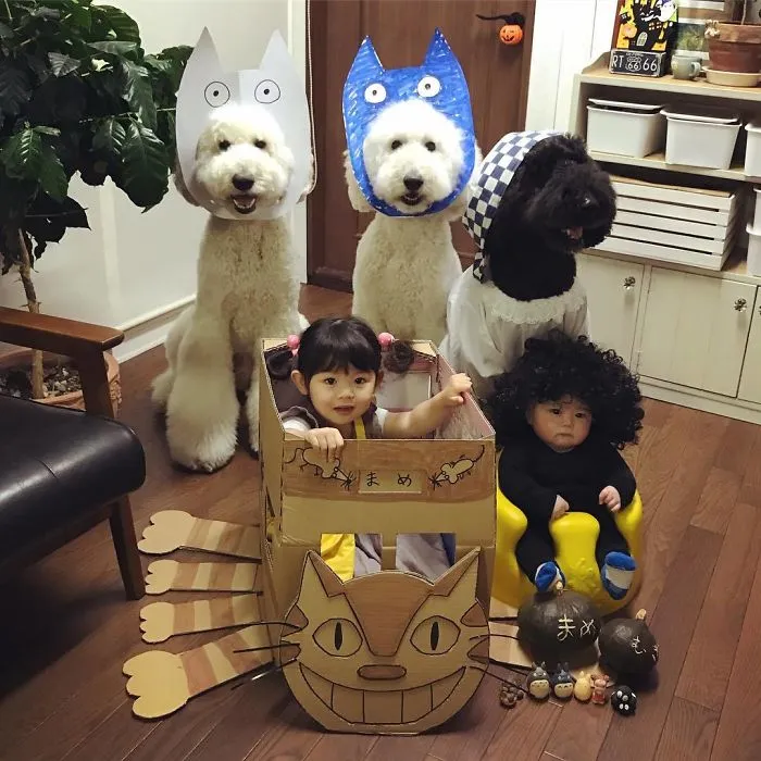 Family's 3 Poodles Have A Special Bond With Their Little Brother And Sister (30 Pics)