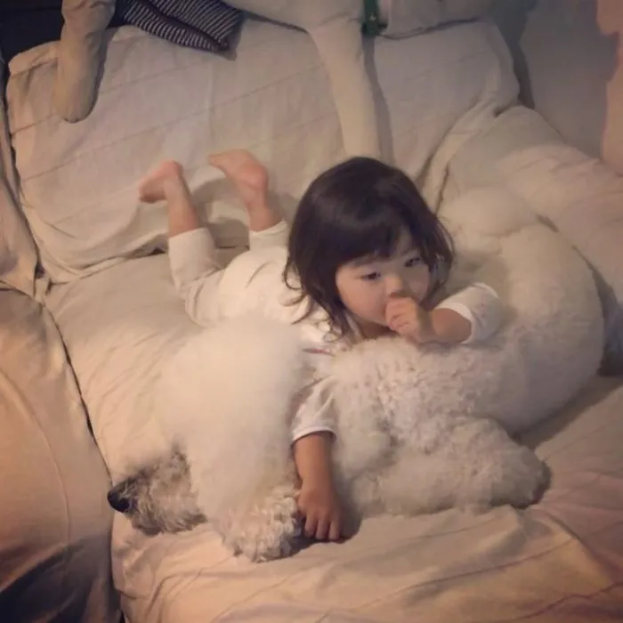 Family's 3 Poodles Have A Special Bond With Their Little Brother And Sister (30 Pics)