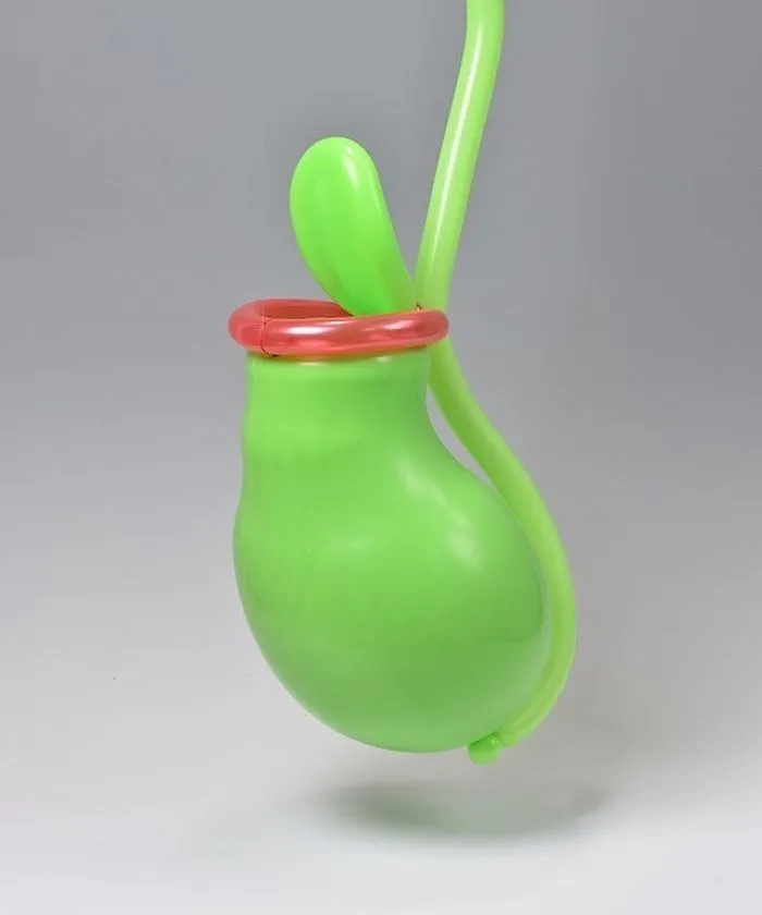Pitcher Plant