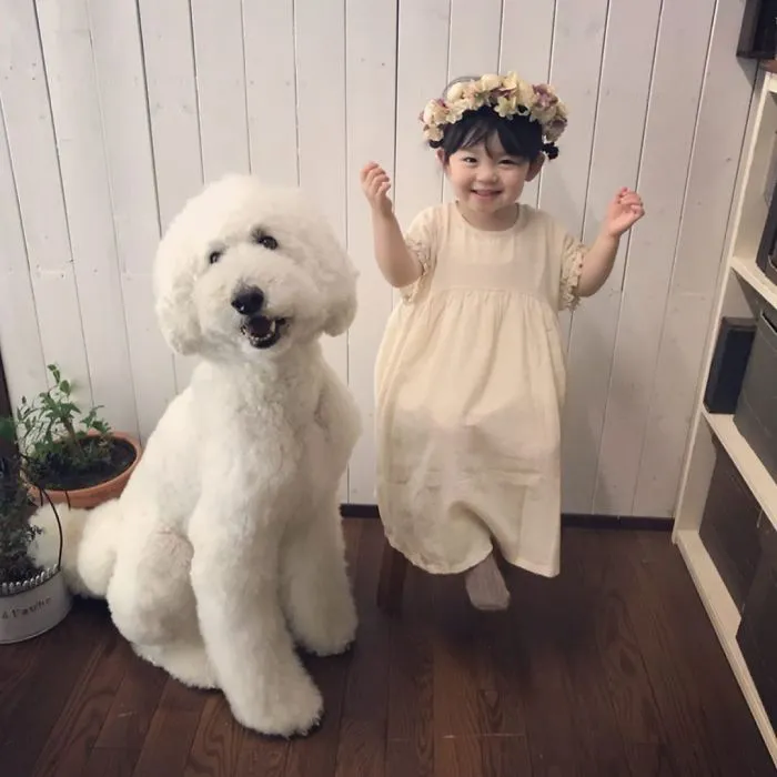 Family's 3 Poodles Have A Special Bond With Their Little Brother And Sister (30 Pics)