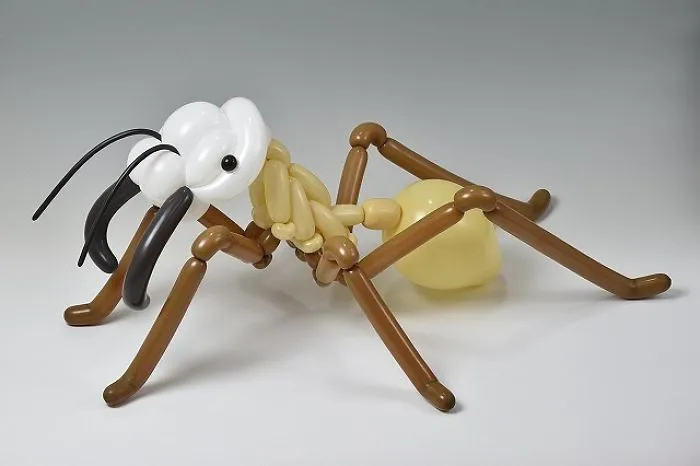 Army Ant