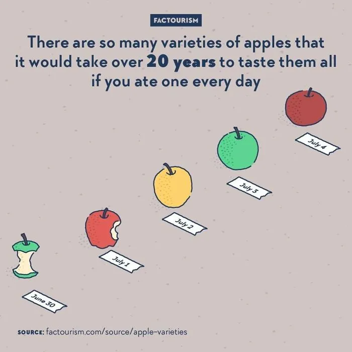 Apple Varieties
