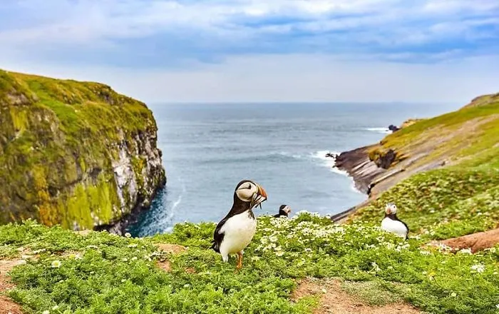 My Family Moved To A Small Town In The UK And I Started Discovering The Beauty Of This Country (35 Pics)