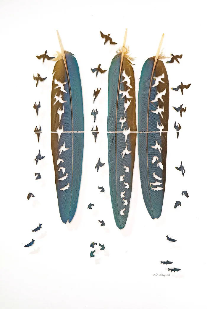 I Hand-Carve Feathers Into Intricate Designs Using Scalpels And Eye Surgery Scissors (30 New Pics)