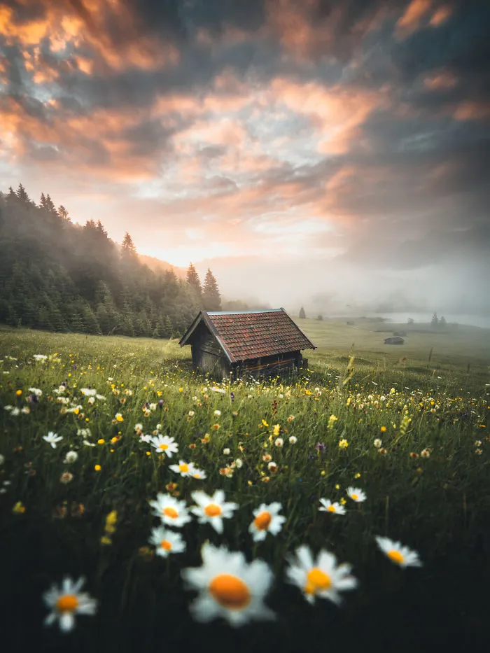 Colors Of Bavarian Spring