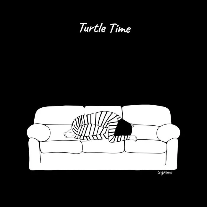 Turtle Time