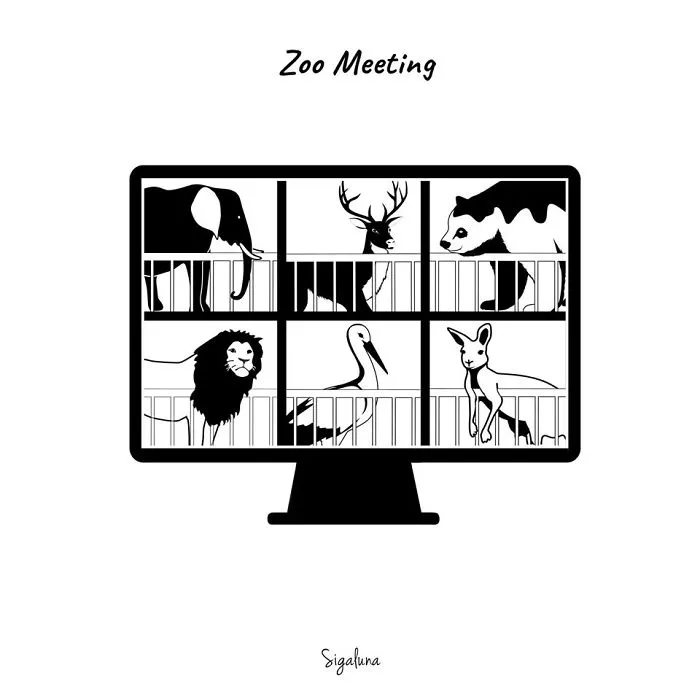 Zoo Meeting