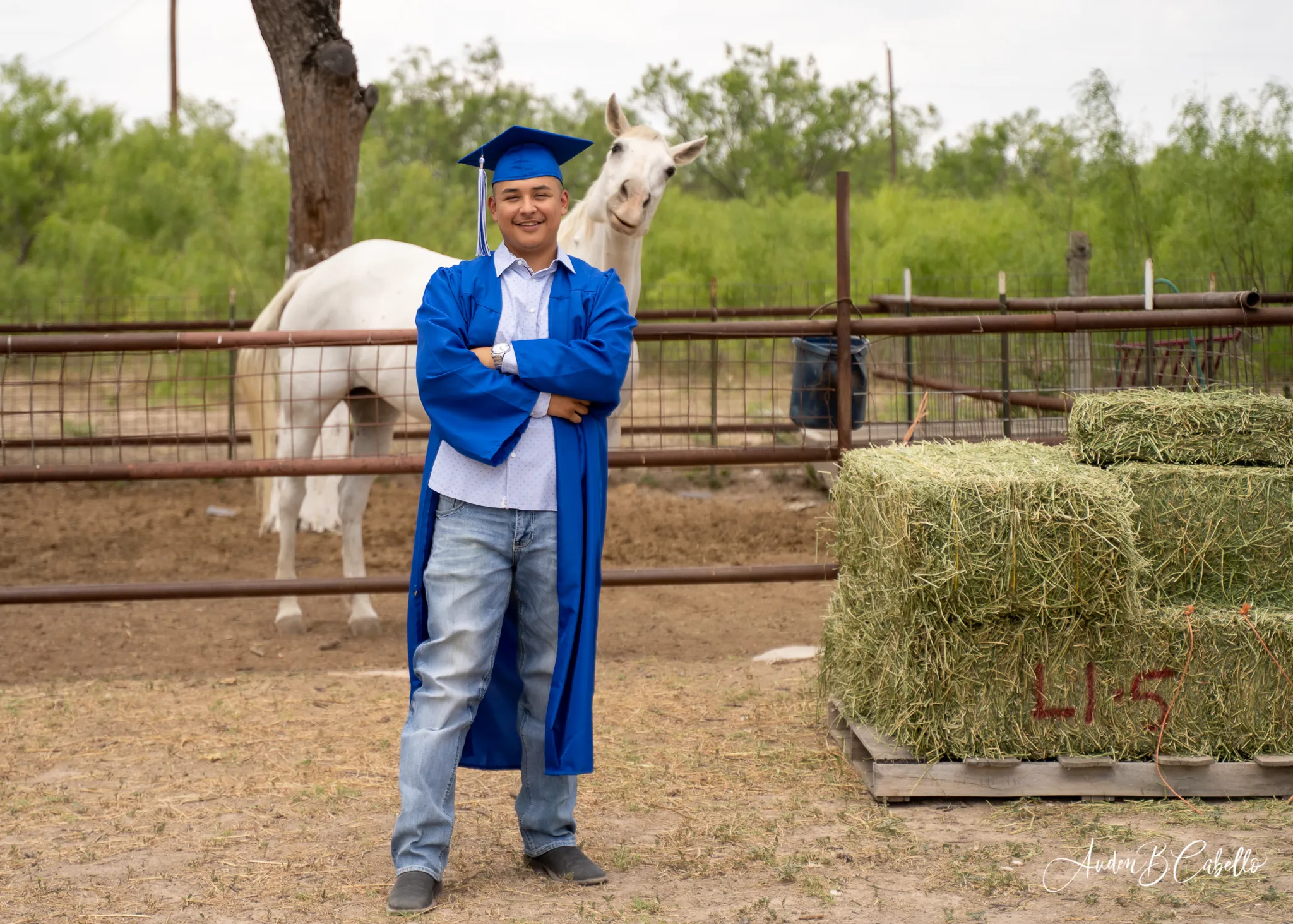 We Enjoyed Our Graduation Photoshoot And So Did Our Horses.