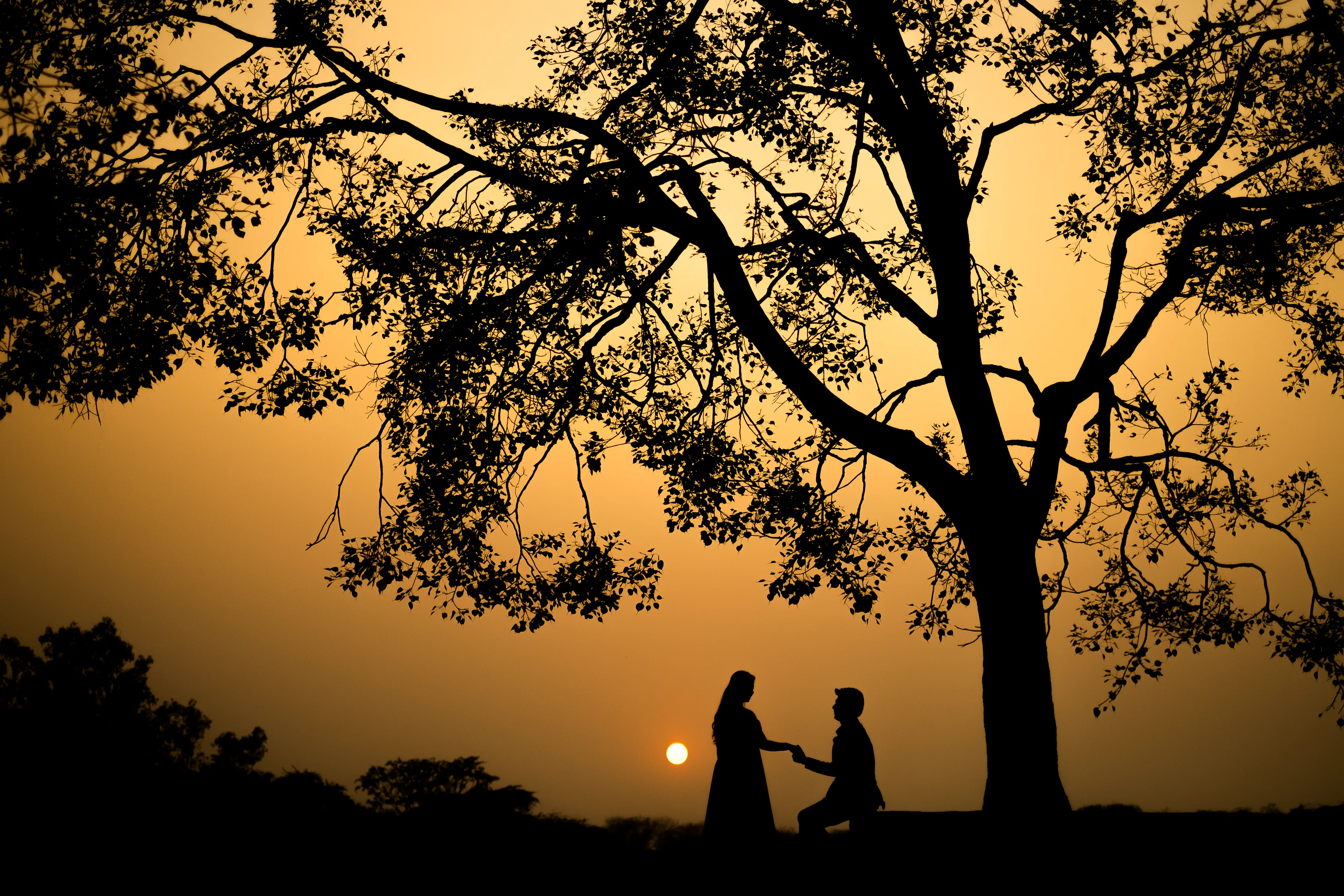 I Select Me Best Silhouettes Images From  Pre-Wedding Photos During Quarantine.