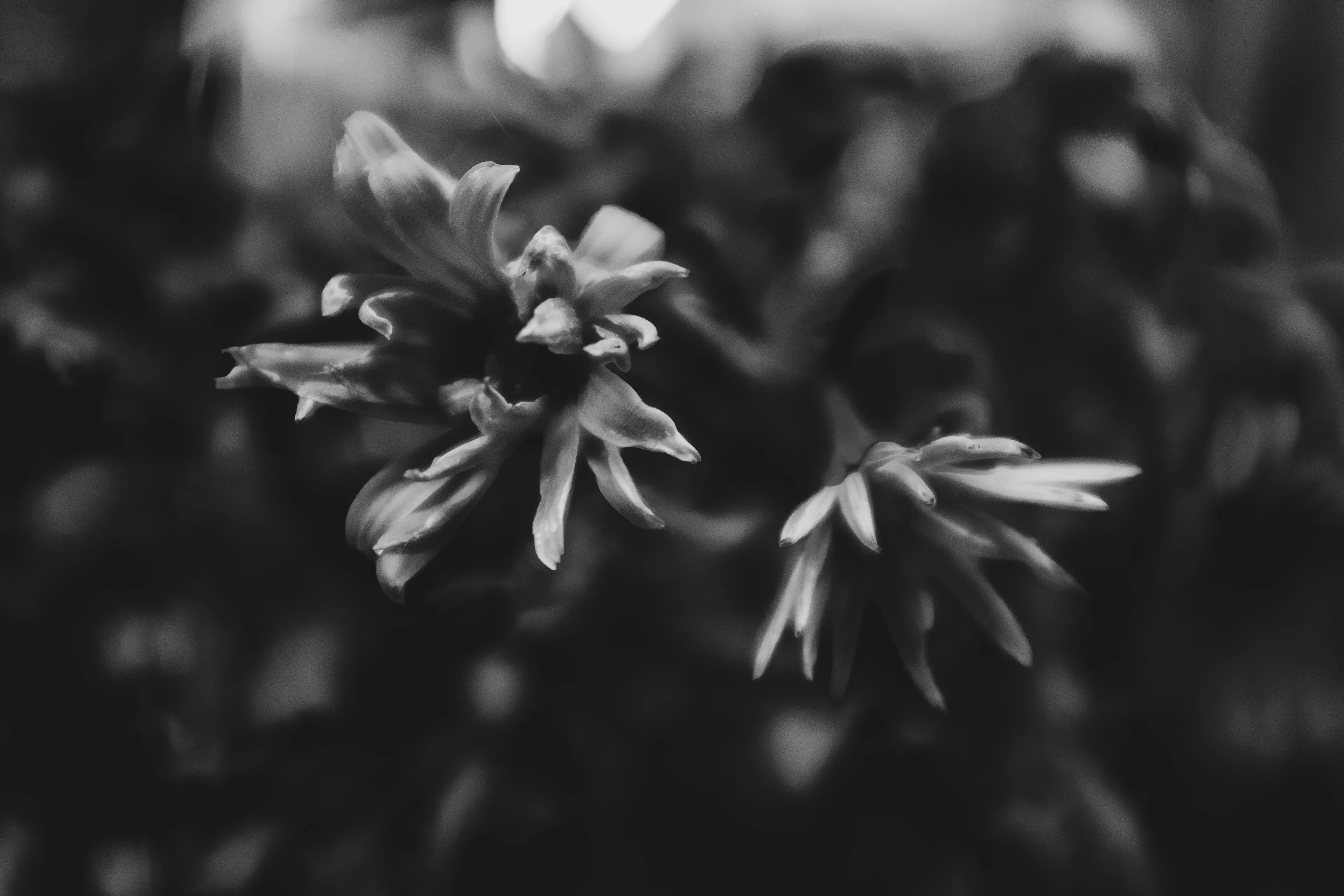 Beyond The Colors