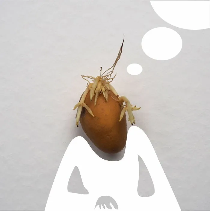 Be A Thinking Potato