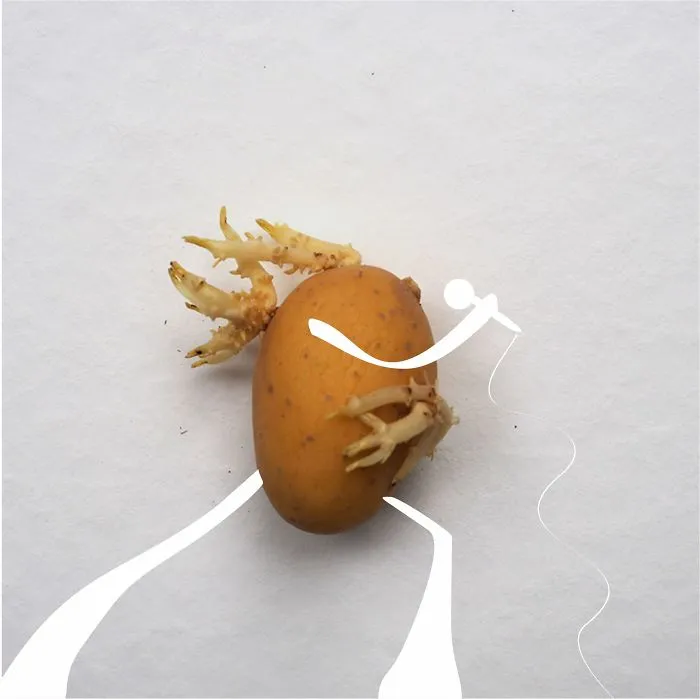 Be A Rocking Potato