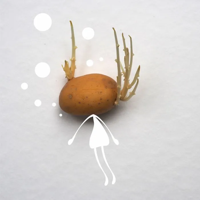 Be A Diving Into A Bathtub Potato
