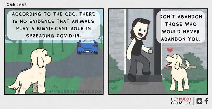 My Comics Are Inspired By My Dog And Most Dog Owners Will Relate To Them (34 New Pics)