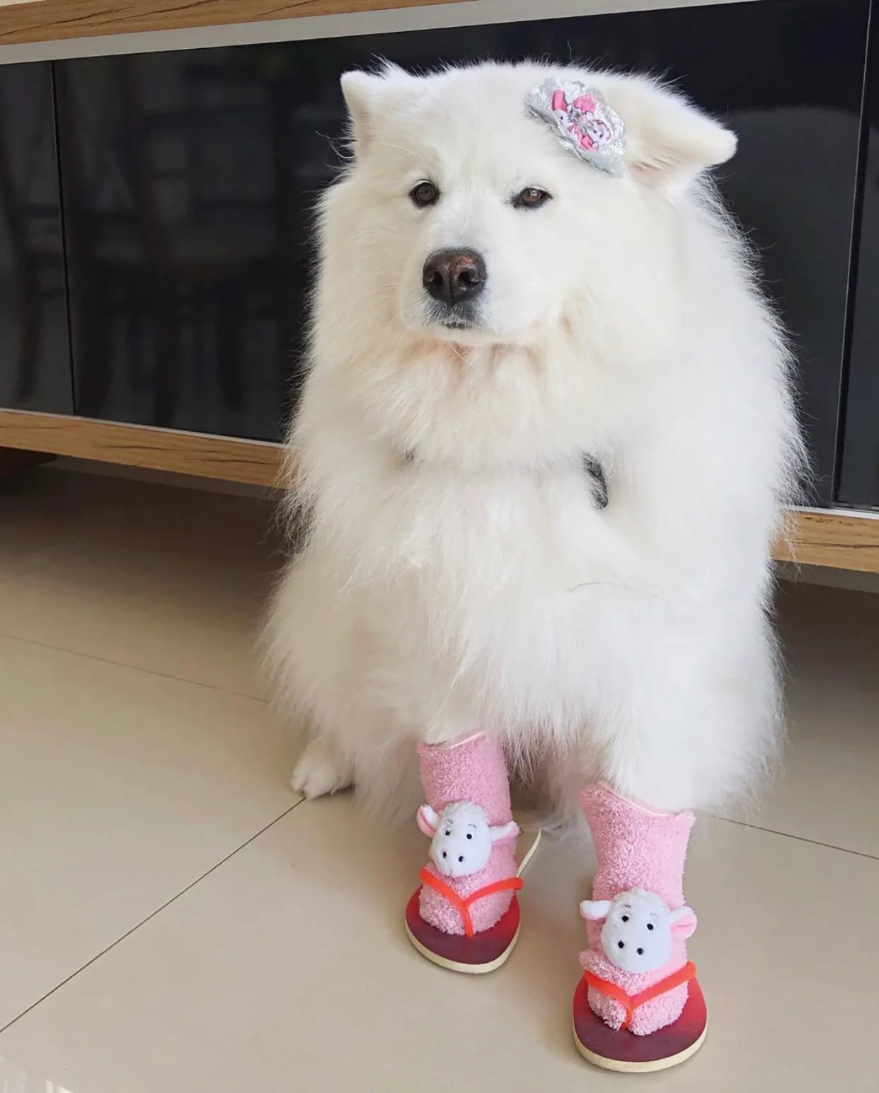 Brazilian Winter Fashion