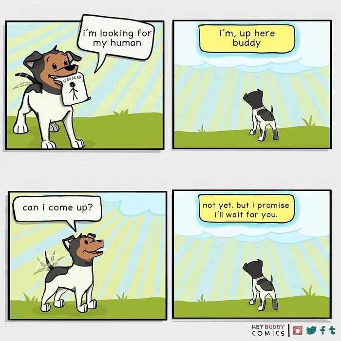 My Comics Are Inspired By My Dog And Most Dog Owners Will Relate To Them (34 New Pics)