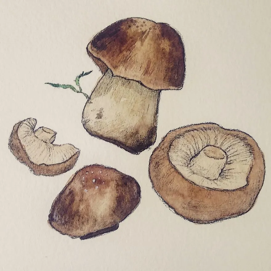 Hi! I’m A Korean High Schooler Who Loves To Capture Beautiful Moments In Nature In Colorful Watercolor Paintings