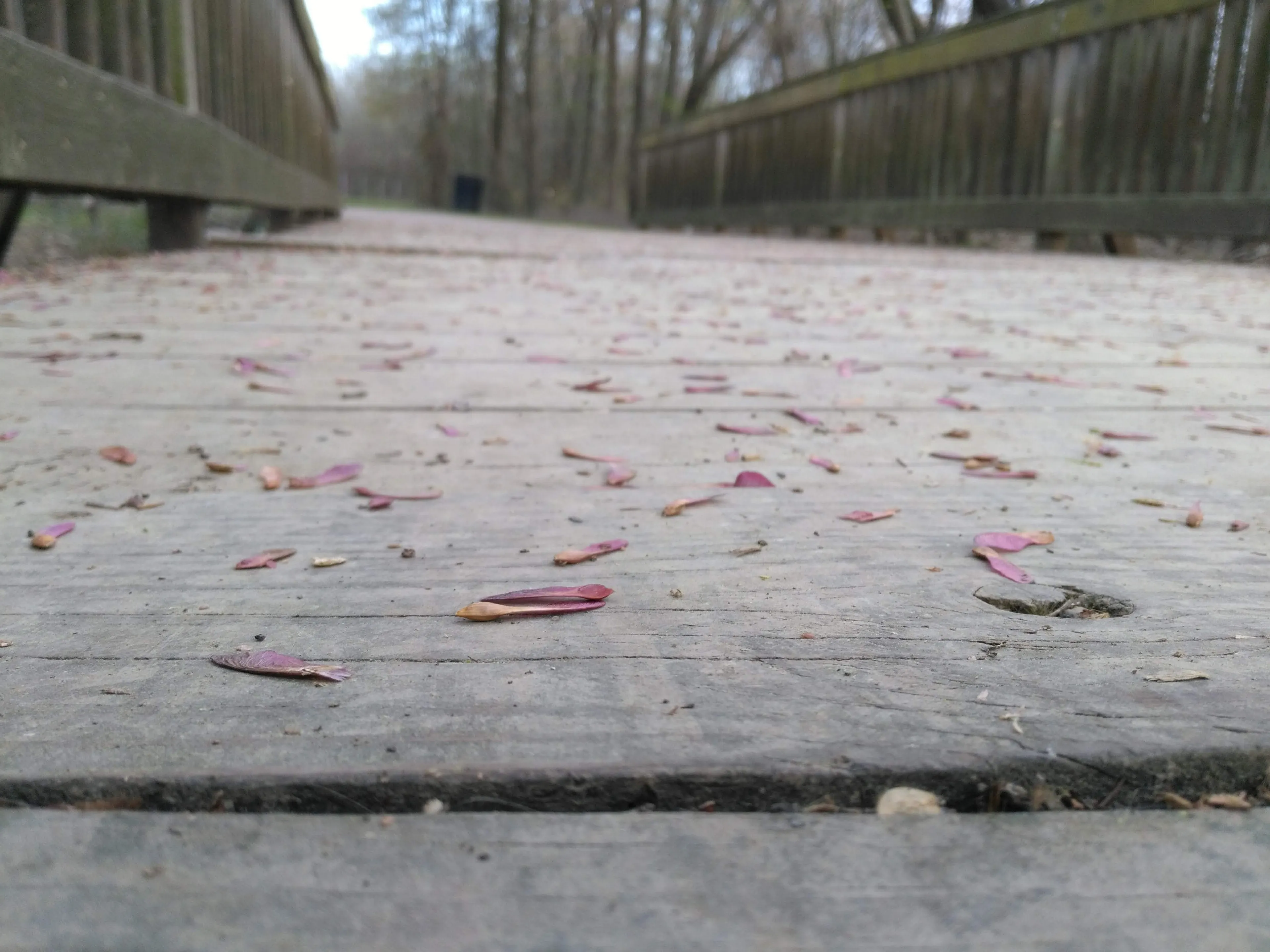 13 Year Old Found Skill In Photography, Here Are 20 Of His Photos