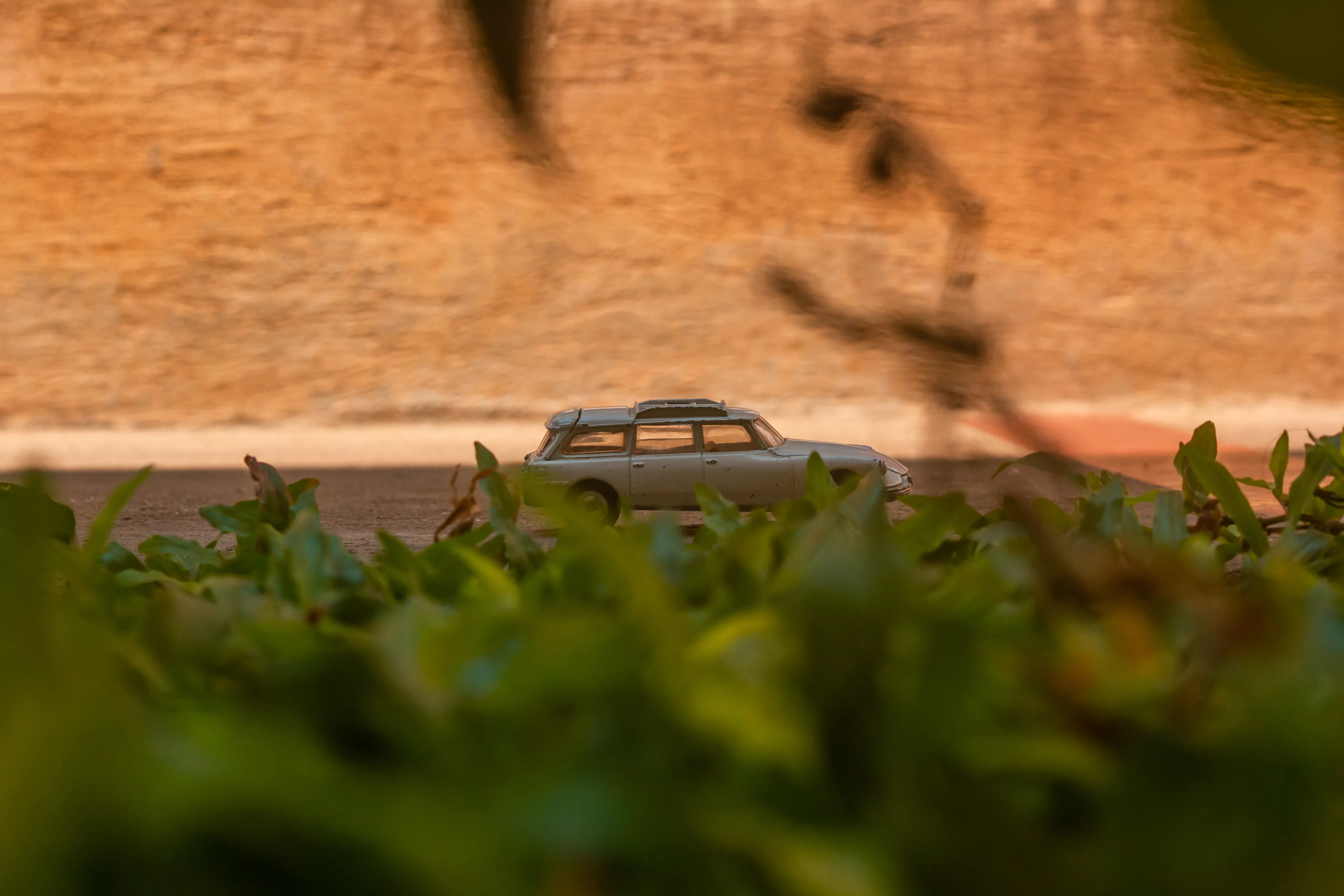 My Roadtrip Was Canceled, So I Did A Miniature Shoot In My Garden