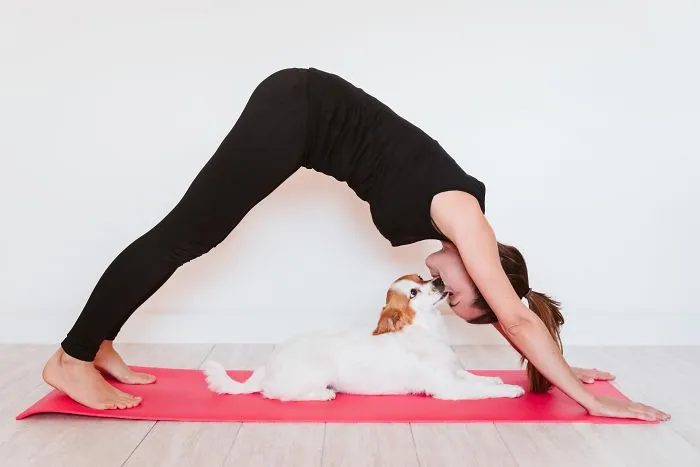 Yoga At Home