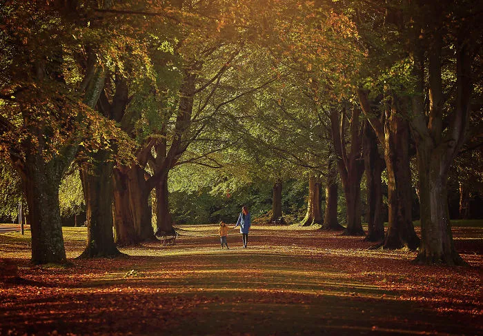 My Family Moved To A Small Town In The UK And I Started Discovering The Beauty Of This Country (35 Pics)