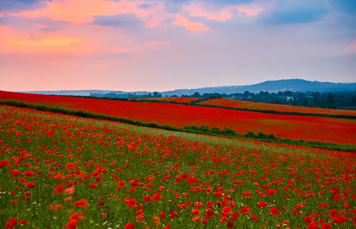 My Family Moved To A Small Town In The UK And I Started Discovering The Beauty Of This Country (35 Pics)