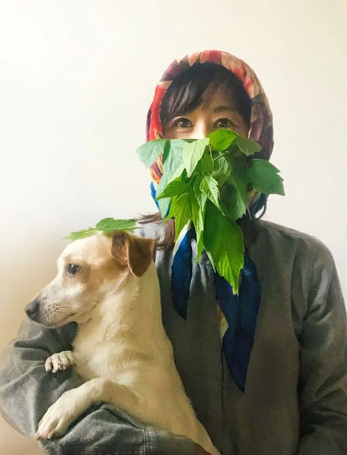 Leaf Mask