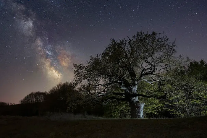 I Have Been Doing Astrophotography For A Few Years Now, Here Are My 50 Best Shots