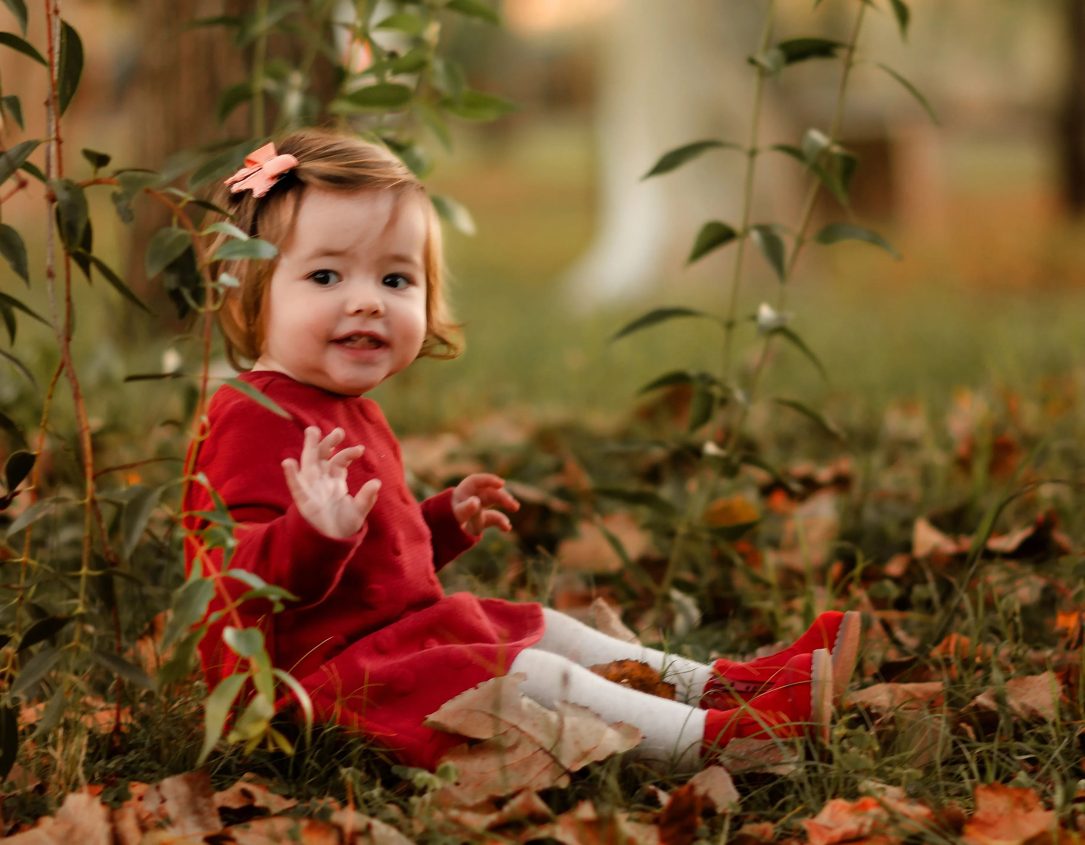 Magic Autumn