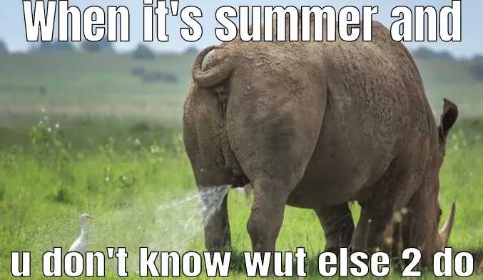 Meme I Decided To Make Just For Laughs