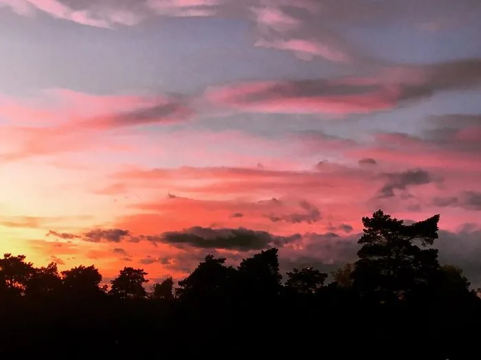 Impressions Of The Evening